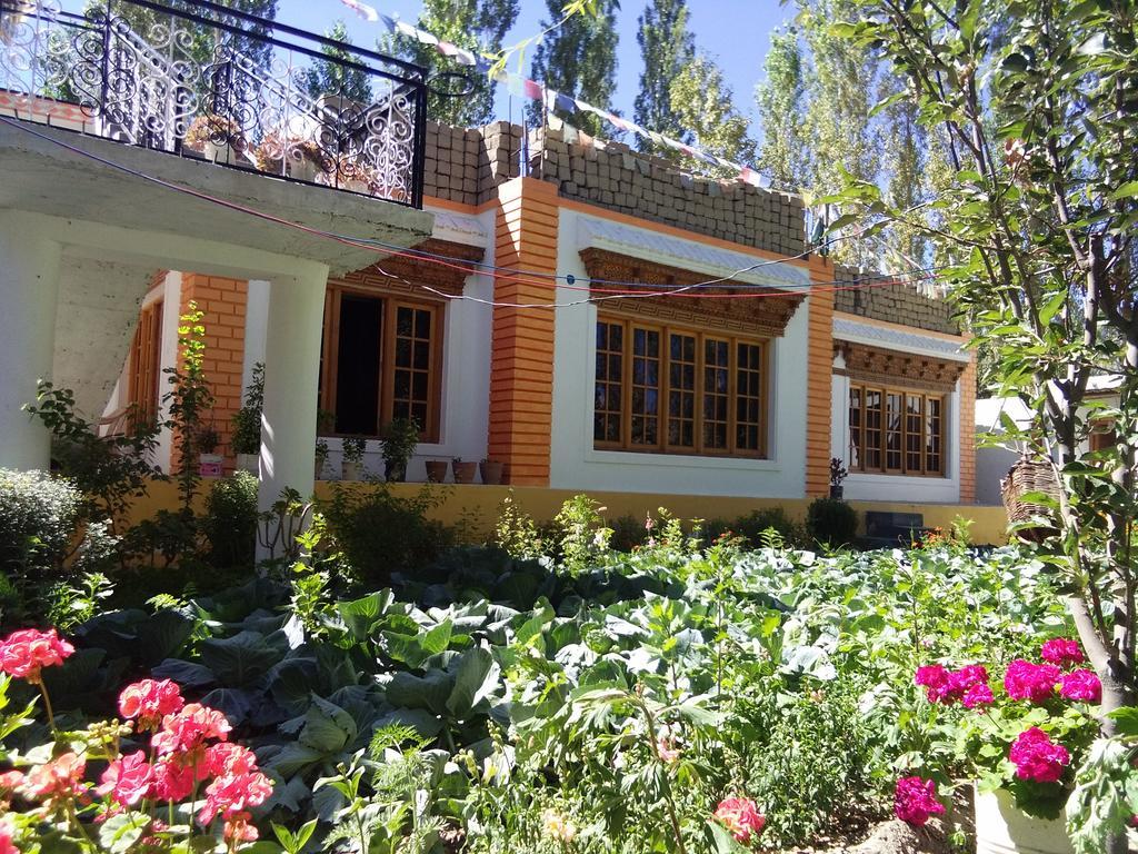 Galaxy Guest House Hundar Extérieur photo