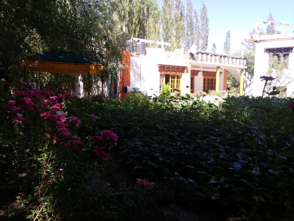 Galaxy Guest House Hundar Extérieur photo